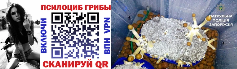 Псилоцибиновые грибы мицелий  Лобня 